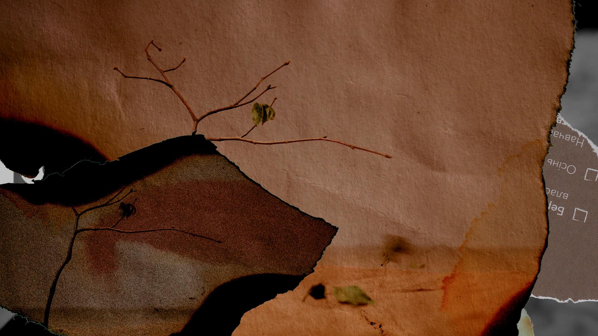 PR模板：10个混合媒体拼贴涂鸦美学邋遢风格粗糙纸质纹理艺术转场动画 , sucaiwan.com