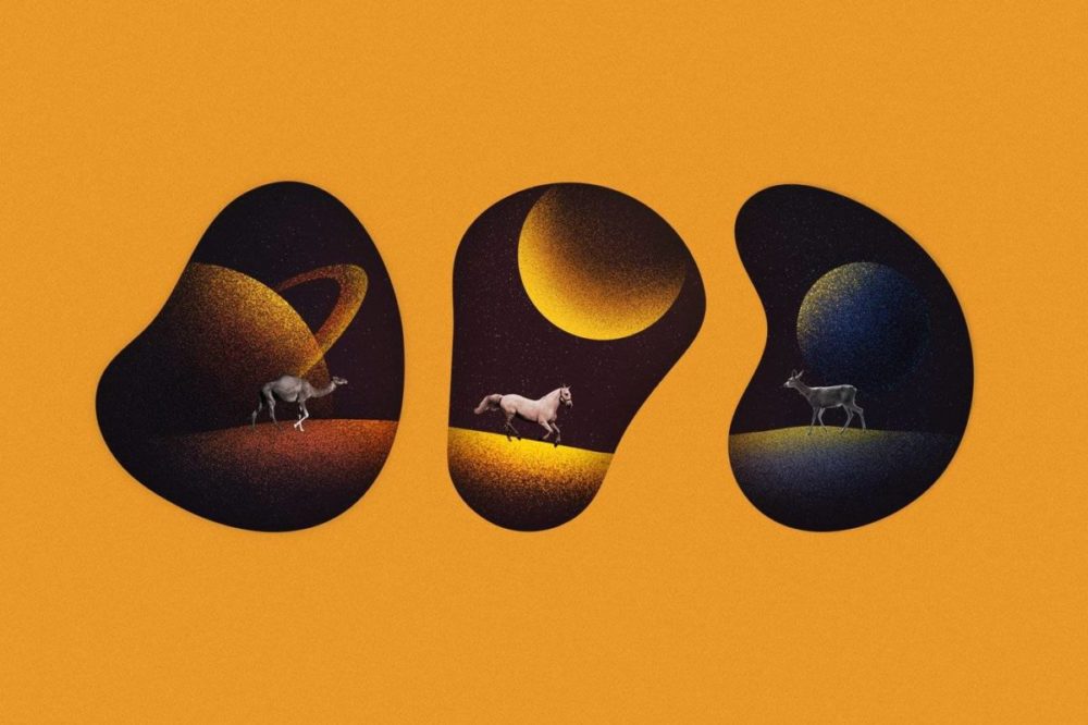 15款时尚颗粒噪点数字艺术绘画效果AI矢量笔刷设计素材 Misterio Shader Illustrator Brushes 笔刷资源 sucaiwan.com