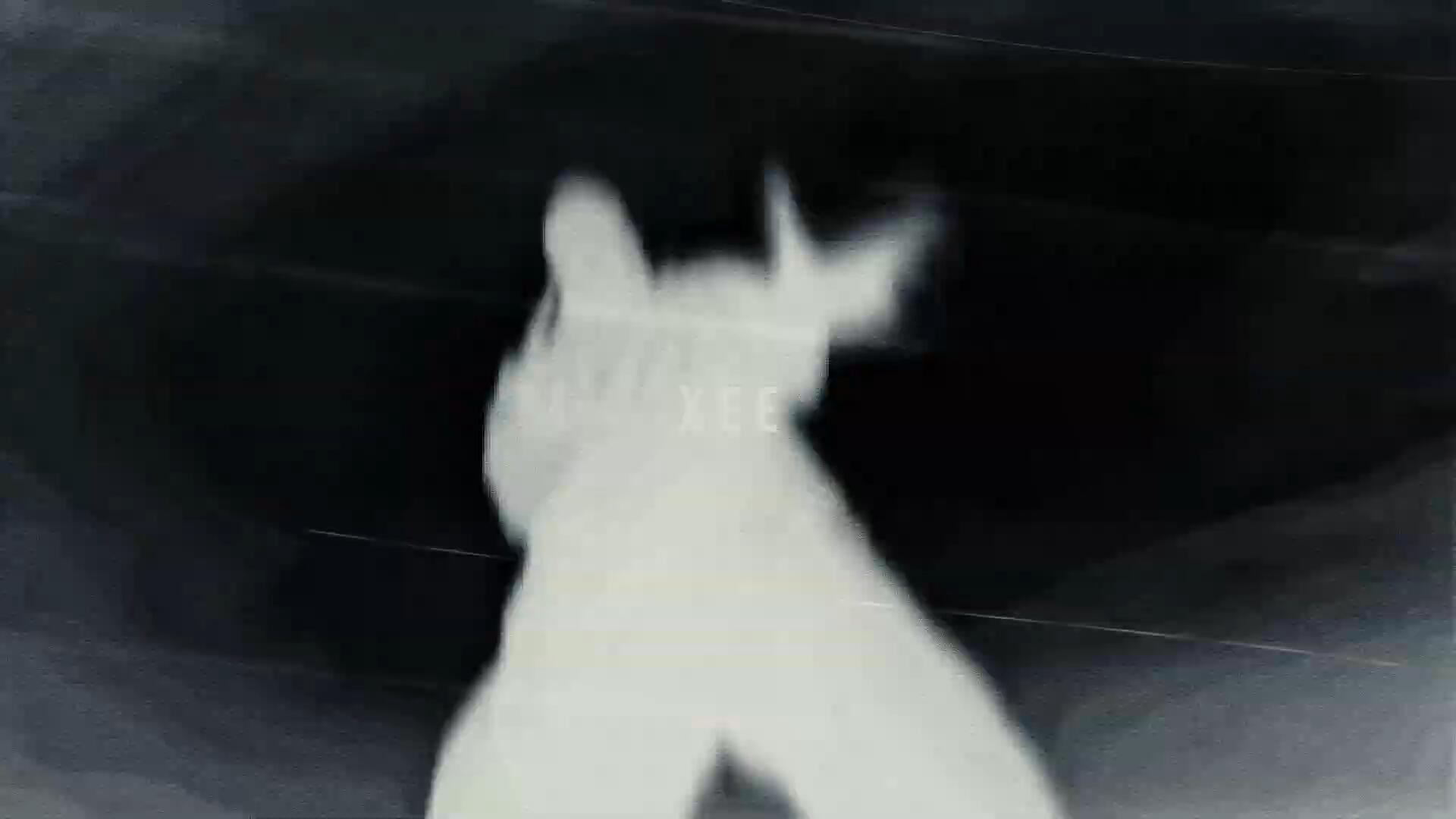 XEE EDITING PACK 热血短片MV影视剪辑AE工程项目文件模板预设叠加视频素材包 影视音频 sucaiwan.com