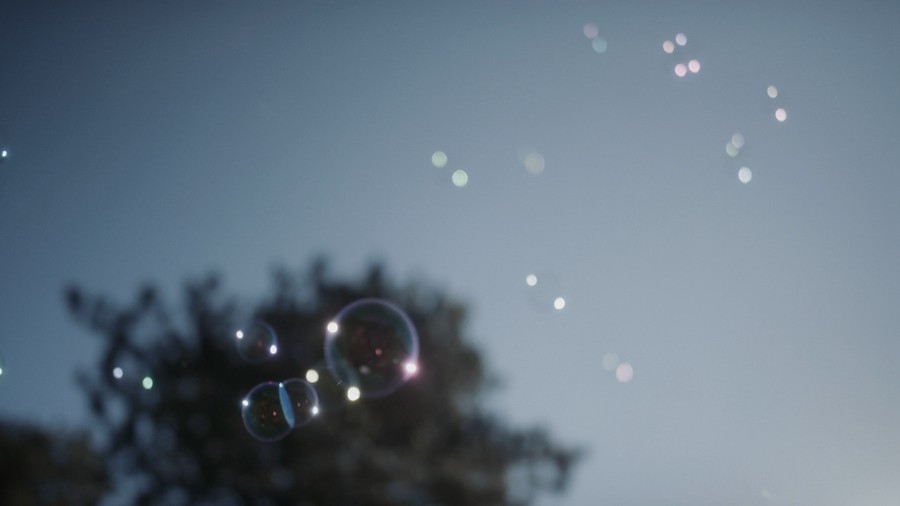 Artlist 无尽的夏天午后阳光树阴树叶治愈系喜怒无常的自然元素空镜视频素材 Moody Nature 影视音频 sucaiwan.com