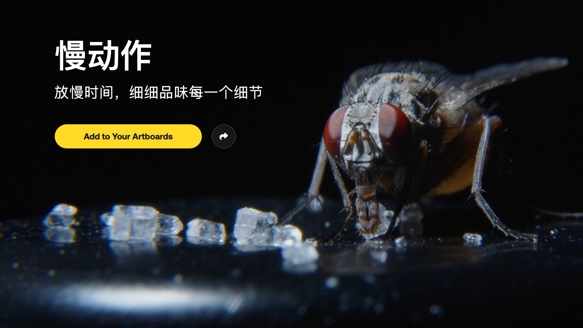 Artlist 慢速倒带过渡/减速尖叫混响/史诗预告片冲击/呼啸/电影脉冲超低音科幻低沉大气低音慢动作音效 Slo mo , sucaiwan.com