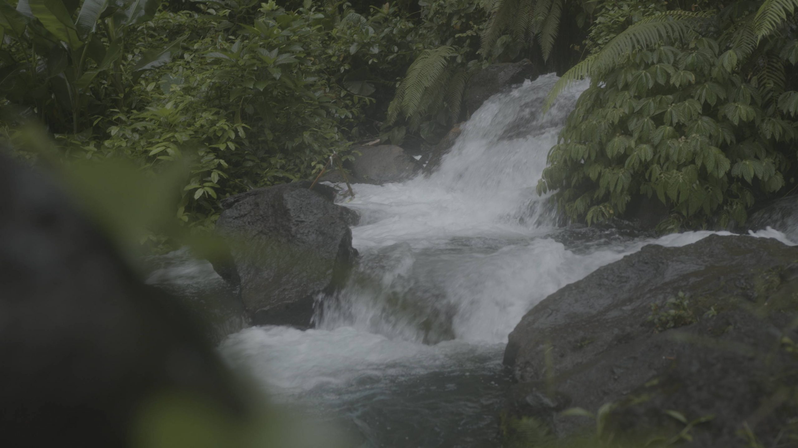 JustKay 油管网红创意电影感色彩还原Rec.709调色预设包 Rec.709 Signature LUT's 插件预设 第6张-素材湾丨精选海外优质设计素材资源 JustKay 油管网红创意电影感色彩还原Rec.709调色预设包 Rec.709 Signature LUT's 插件预设 sucaiwan.com