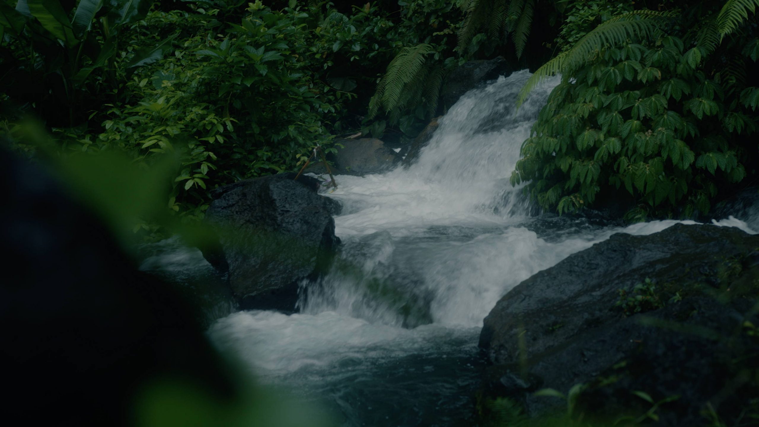 JustKay 油管网红创意电影感色彩还原Rec.709调色预设包 Rec.709 Signature LUT's 插件预设 第7张-素材湾丨精选海外优质设计素材资源 JustKay 油管网红创意电影感色彩还原Rec.709调色预设包 Rec.709 Signature LUT's 插件预设 sucaiwan.com