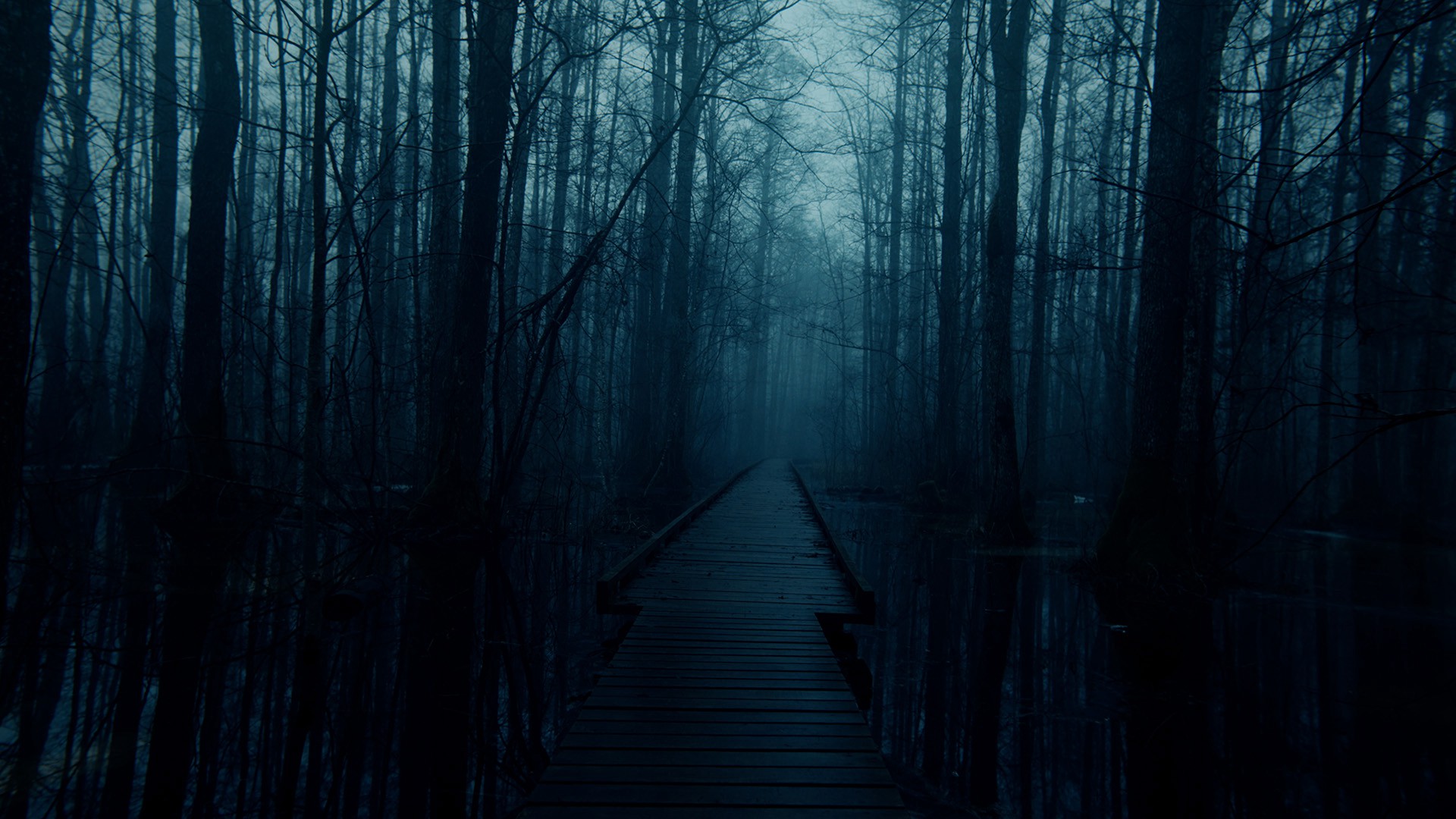 Artlist 70+原始森林沼泽恐怖电影自然景观实拍视频素材Swamp Horror Atmosphere 影视音频 sucaiwan.com