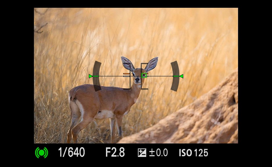 WithLuke Studios – Photography Masterclass – Master The Art Of Photography 设计教程 sucaiwan.com