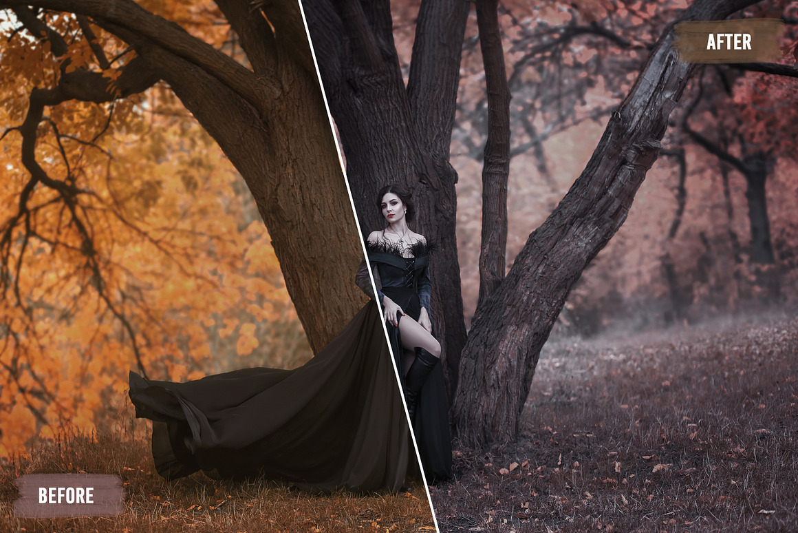 50种时尚电影大片LUT预设合集 Celestial LUT and Presets Collection 插件预设 第2张-素材湾丨精选海外优质设计素材资源 50种时尚电影大片LUT预设合集 Celestial LUT and Presets Collection 插件预设 sucaiwan.com