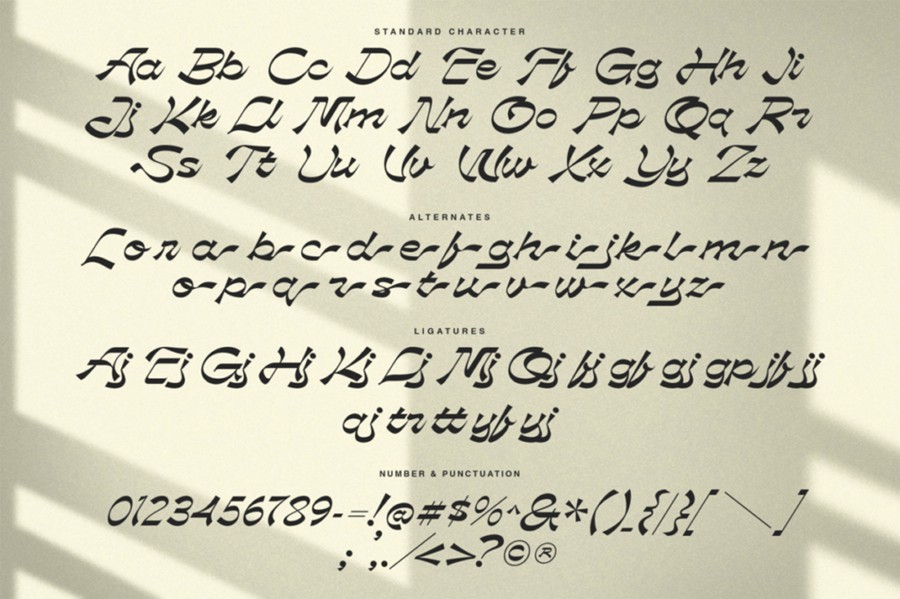 复古逆反差品牌Logo标题文字设计PSAI手写签名效果英文字体安装包 Phalarope | Reverse Contrast Script Font 设计素材 sucaiwan.com