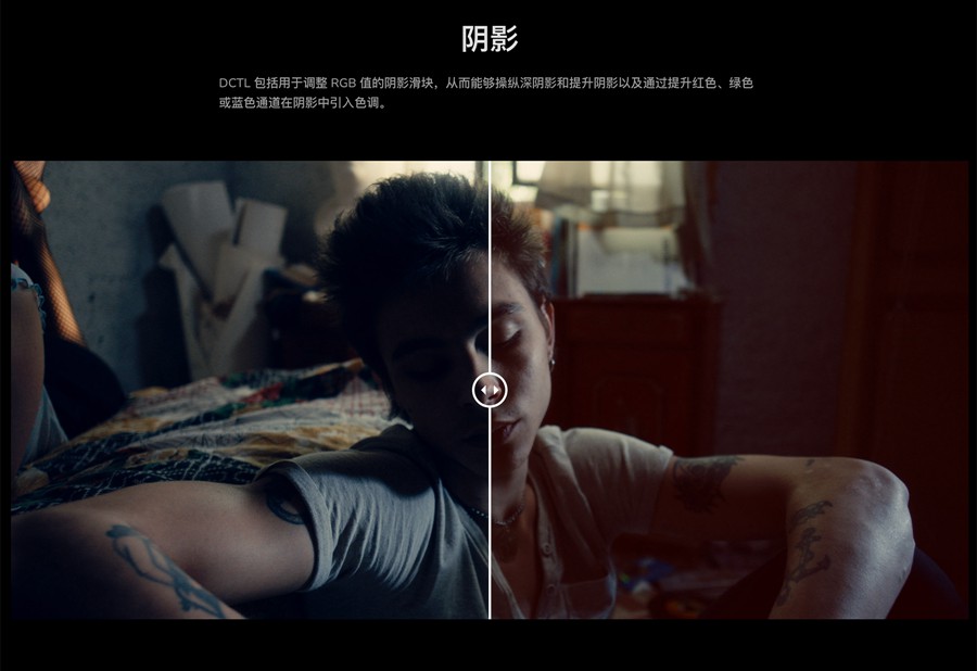 达芬奇DCTL插件：MonoNodes - LOOK / LAB / PRINT DCTLS 重现胶片独特品质柯达富士经典胶片美学达芬奇DCTL调色插件 插件预设 sucaiwan.com