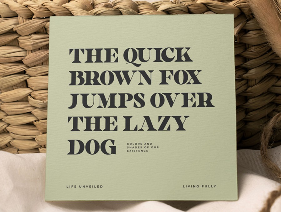 现代时尚标题Logo徽标设计PSAI粗体衬线英文字体安装包素材 Welegants Font 设计素材 sucaiwan.com