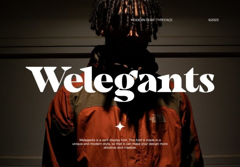 现代时尚标题Logo徽标设计PSAI粗体衬线英文字体安装包素材 Welegants Font 设计素材 sucaiwan.com