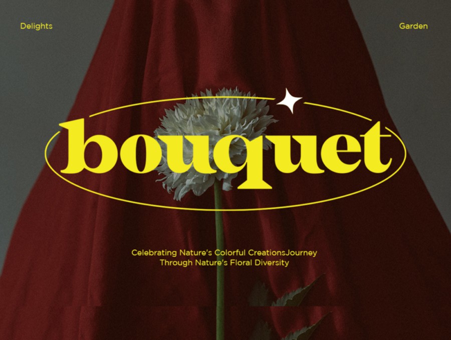 现代时尚标题Logo徽标设计PSAI粗体衬线英文字体安装包素材 Welegants Font 设计素材 sucaiwan.com