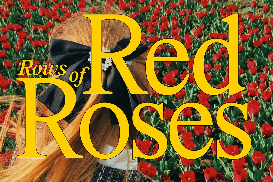 英文字体:罗马现代古典美学艺术衬线英文标题logo排版装饰手写字体组合 Marjorie Variable Serif + Italics , 第8张-素材湾丨精选海外优质设计素材资源 英文字体:罗马现代古典美学艺术衬线英文标题logo排版装饰手写字体组合 Marjorie Variable Serif + Italics , sucaiwan.com