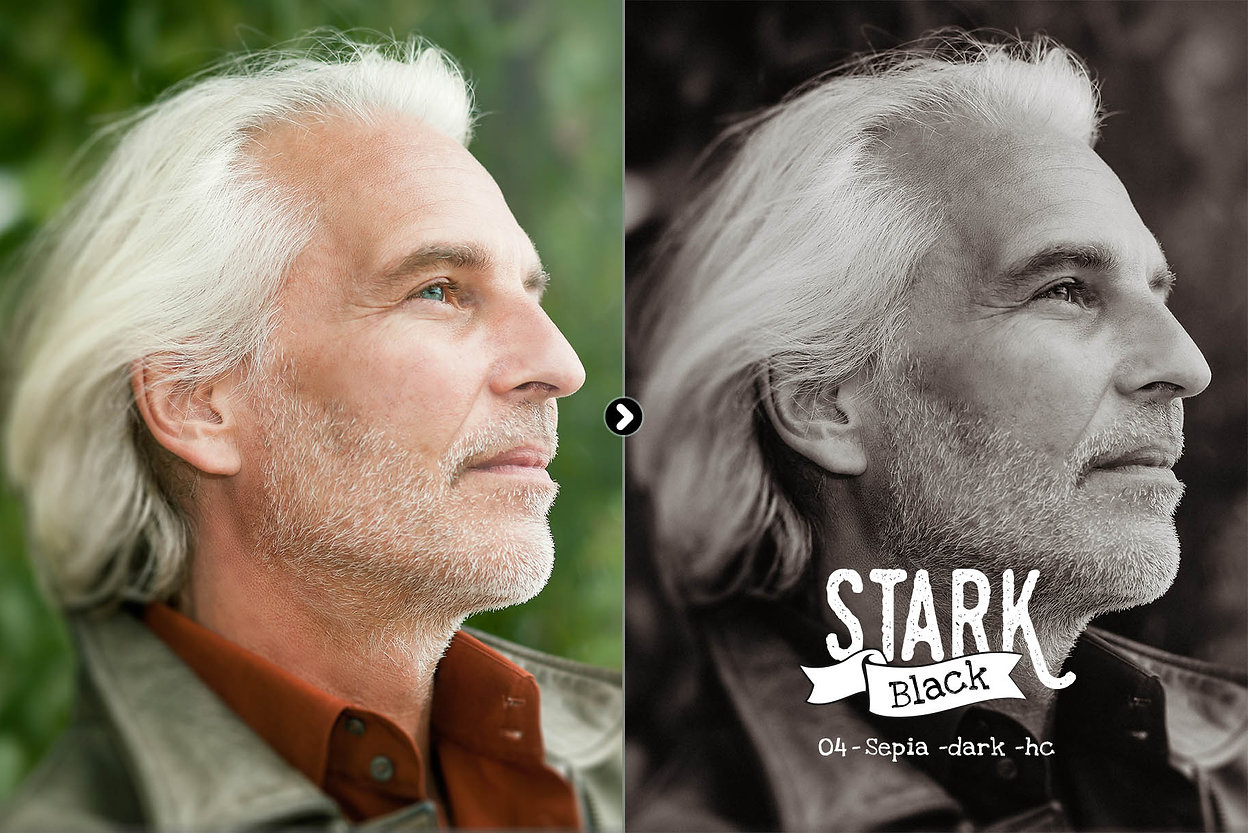 Presetrain – Stark Black Dramatic BW Lightroom Presets 插件预设 sucaiwan.com