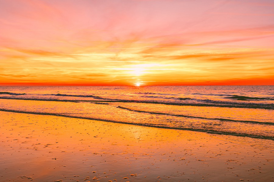 Rachel Carter Images – Arancia Lightroom Preset 插件预设 sucaiwan.com