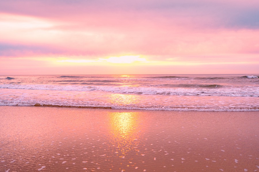 Rachel Carter Images – Arancia Lightroom Preset 插件预设 sucaiwan.com