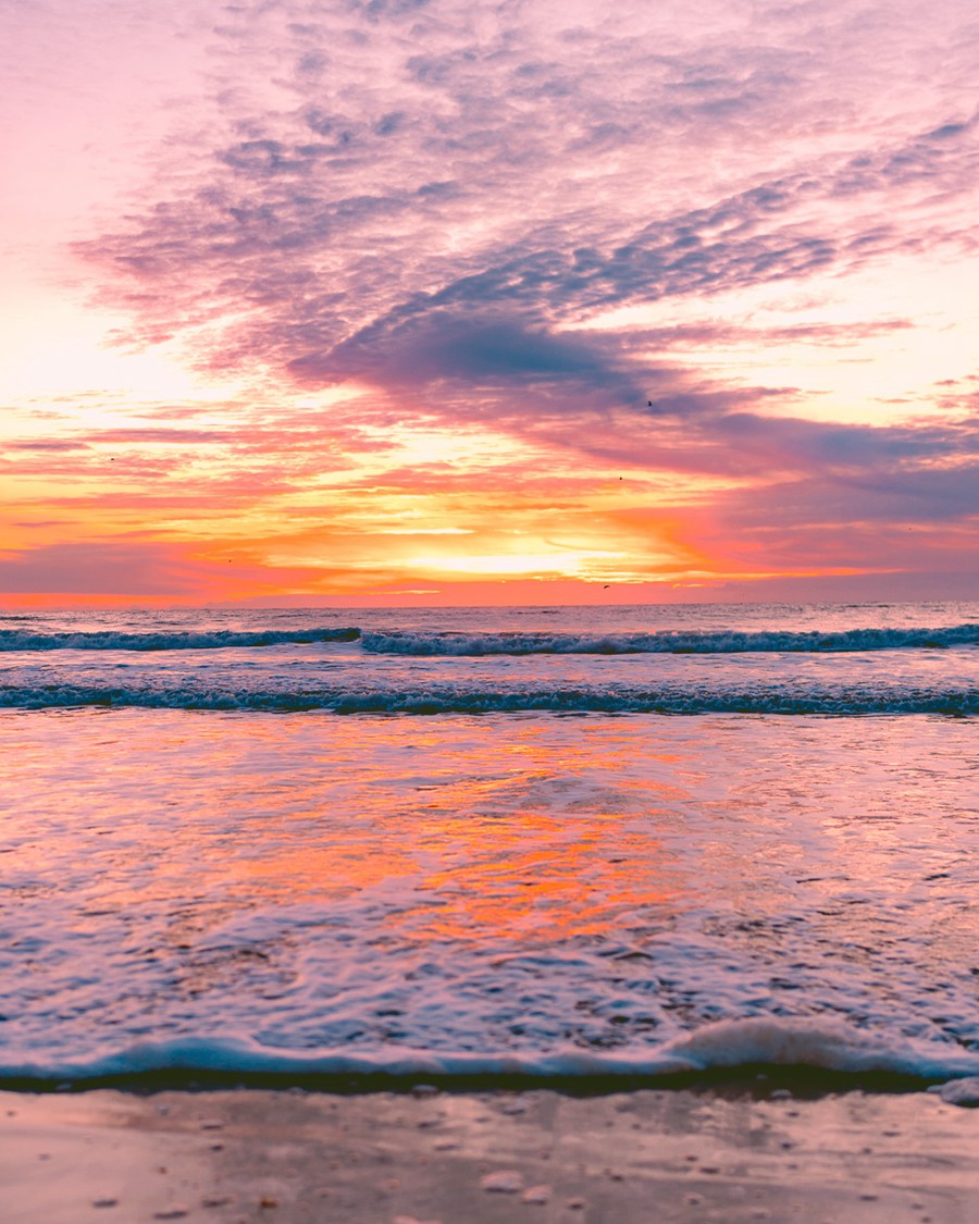 Rachel Carter Images – Arancia Lightroom Preset 插件预设 sucaiwan.com