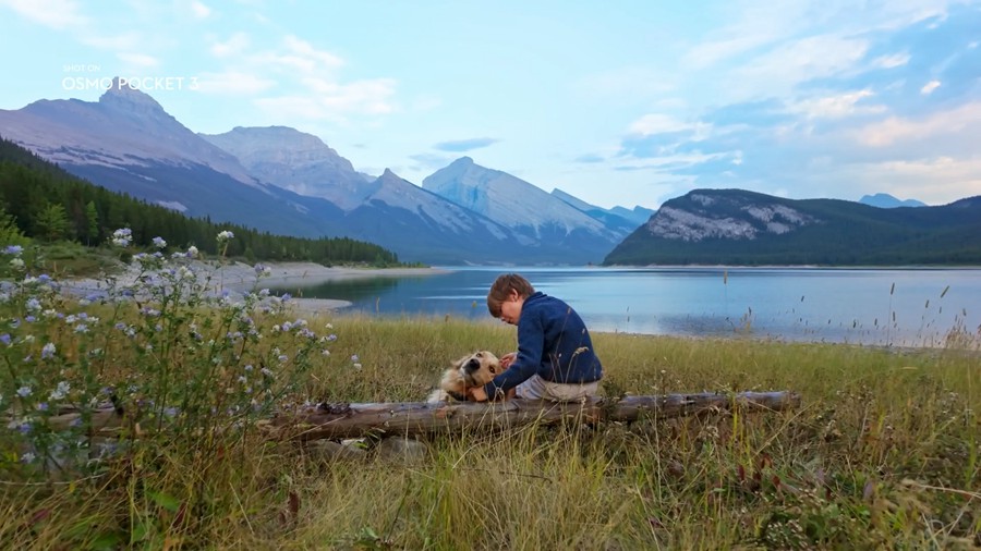 Phantom LUTs for DJI大疆 Osmo Pocket 3 Film LUTs+Arri LUTs 阿莱风格和胶片风格 插件预设 第11张-素材湾丨精选海外优质设计素材资源 Phantom LUTs for DJI大疆 Osmo Pocket 3 Film LUTs+Arri LUTs 阿莱风格和胶片风格 插件预设 sucaiwan.com