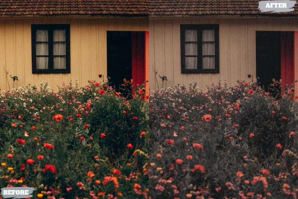 现代美学旅行生活博主摄影照片调色Lightroom预设 Aesthetic Natural Lightroom Presets Dekstop Mobile 插件预设 sucaiwan.com