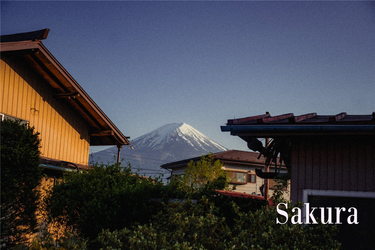 复古情绪电影胶片模拟颗粒漏光晕影纹理人文扫街LR调色预设 Eren Jam - CineFilm Preset 插件预设 第6张-素材湾丨精选海外优质设计素材资源 复古情绪电影胶片模拟颗粒漏光晕影纹理人文扫街LR调色预设 Eren Jam - CineFilm Preset 插件预设 sucaiwan.com