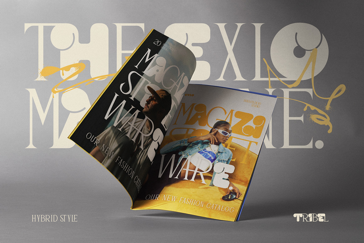 英文字体：独特现代都市美学俏皮气泡结构衬线排版线条混合字体 Tribel - Unique Hybrid Typeface , sucaiwan.com