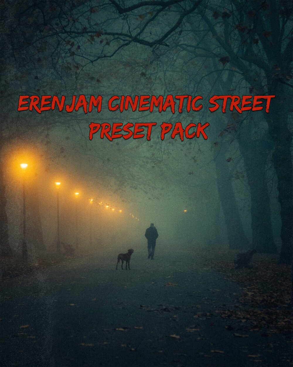 高级复古电影胶片颗粒模拟城市人文扫街摄影照片调色lightroom预设包 Eren Jam – Cinematic Street Presets 插件预设 sucaiwan.com