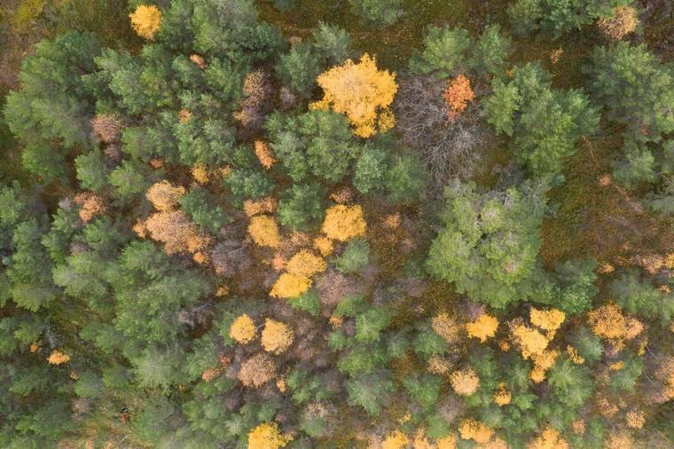 飞思预设 梦幻深沉情绪化旅拍风景摄影照片调色Capture One预设包 Northlandscapes Capture ONE Master Collection 插件预设 sucaiwan.com