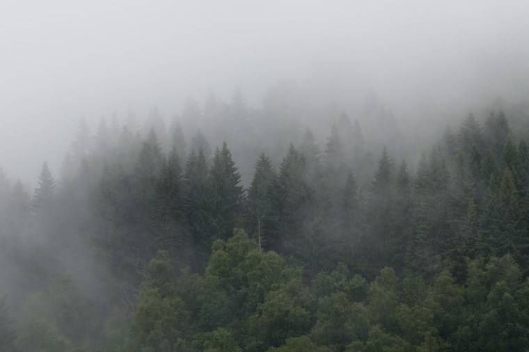 飞思预设 梦幻深沉情绪化旅拍风景摄影照片调色Capture One预设包 Northlandscapes Capture ONE Master Collection 插件预设 sucaiwan.com