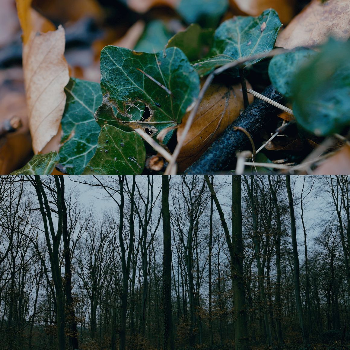 电影外观Kodak柯达Portra 400胶片仿真模拟LOG还原调色LUT预设 Cristian Mate Grab – Kodak Portra Film Emulation for LOG 插件预设 第7张-素材湾丨精选海外优质设计素材资源 电影外观Kodak柯达Portra 400胶片仿真模拟LOG还原调色LUT预设 Cristian Mate Grab – Kodak Portra Film Emulation for LOG 插件预设 sucaiwan.com