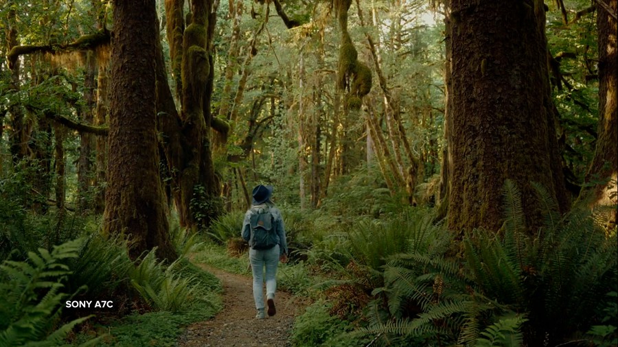 Filmbox Lut 复古胶片模拟插件LUT版本(非插件)索尼/富士/松下/佳能/大疆/电影调色预设 插件预设 第6张-素材湾丨精选海外优质设计素材资源 Filmbox Lut 复古胶片模拟插件LUT版本(非插件)索尼/富士/松下/佳能/大疆/电影调色预设 插件预设 sucaiwan.com