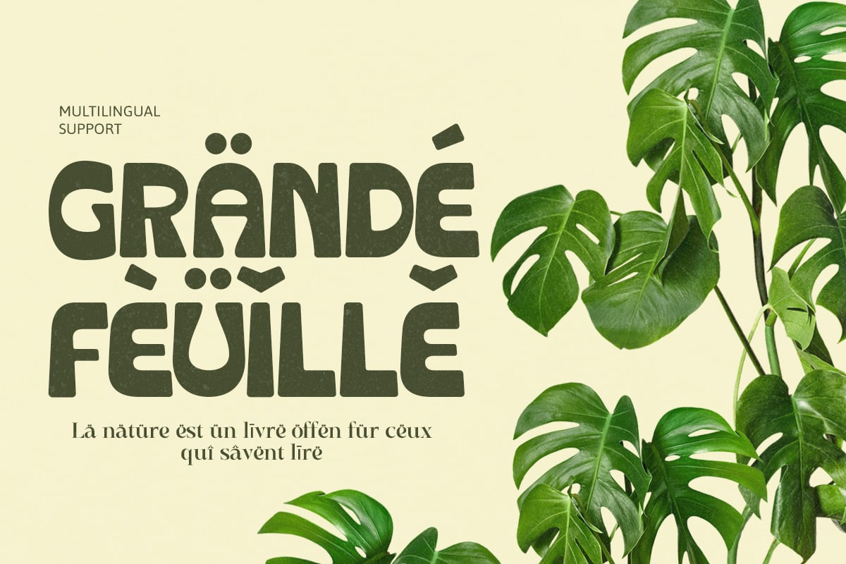 英文字体：复古清新趣味粗体圆润卡通logo徽标杂志画册海报排版衬线字体 Crupies - Bold Reverse Contrast Font 设计素材 sucaiwan.com