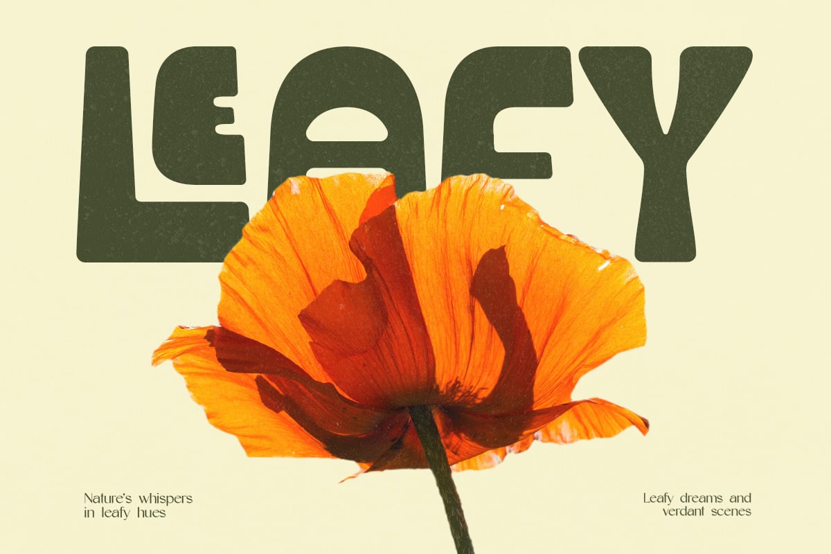 英文字体：复古清新趣味粗体圆润卡通logo徽标杂志画册海报排版衬线字体 Crupies - Bold Reverse Contrast Font 设计素材 sucaiwan.com