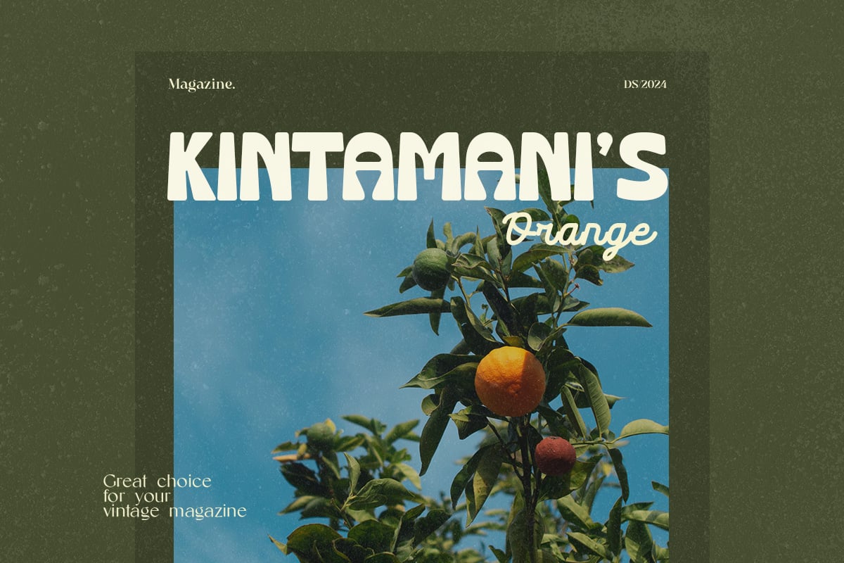 英文字体：复古清新趣味粗体圆润卡通logo徽标杂志画册海报排版衬线字体 Crupies - Bold Reverse Contrast Font 设计素材 sucaiwan.com