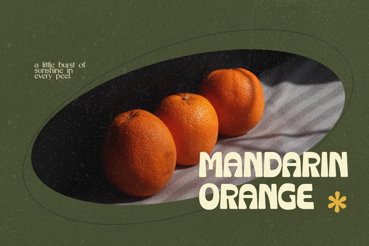 英文字体：复古清新趣味粗体圆润卡通logo徽标杂志画册海报排版衬线字体 Crupies - Bold Reverse Contrast Font 设计素材 sucaiwan.com