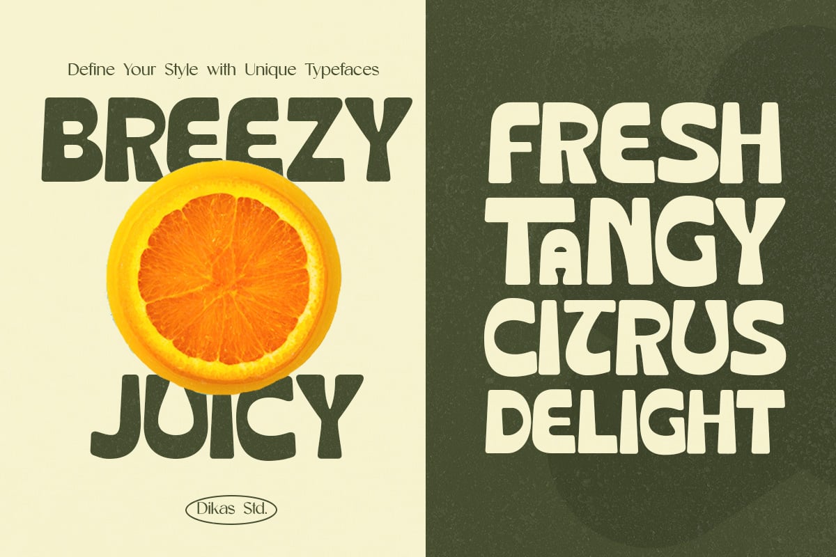 英文字体：复古清新趣味粗体圆润卡通logo徽标杂志画册海报排版衬线字体 Crupies - Bold Reverse Contrast Font 设计素材 sucaiwan.com