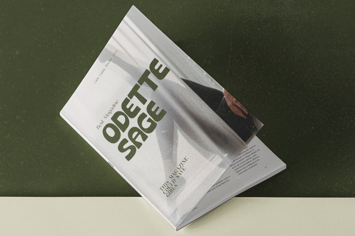 英文字体：复古清新趣味粗体圆润卡通logo徽标杂志画册海报排版衬线字体 Crupies - Bold Reverse Contrast Font 设计素材 sucaiwan.com