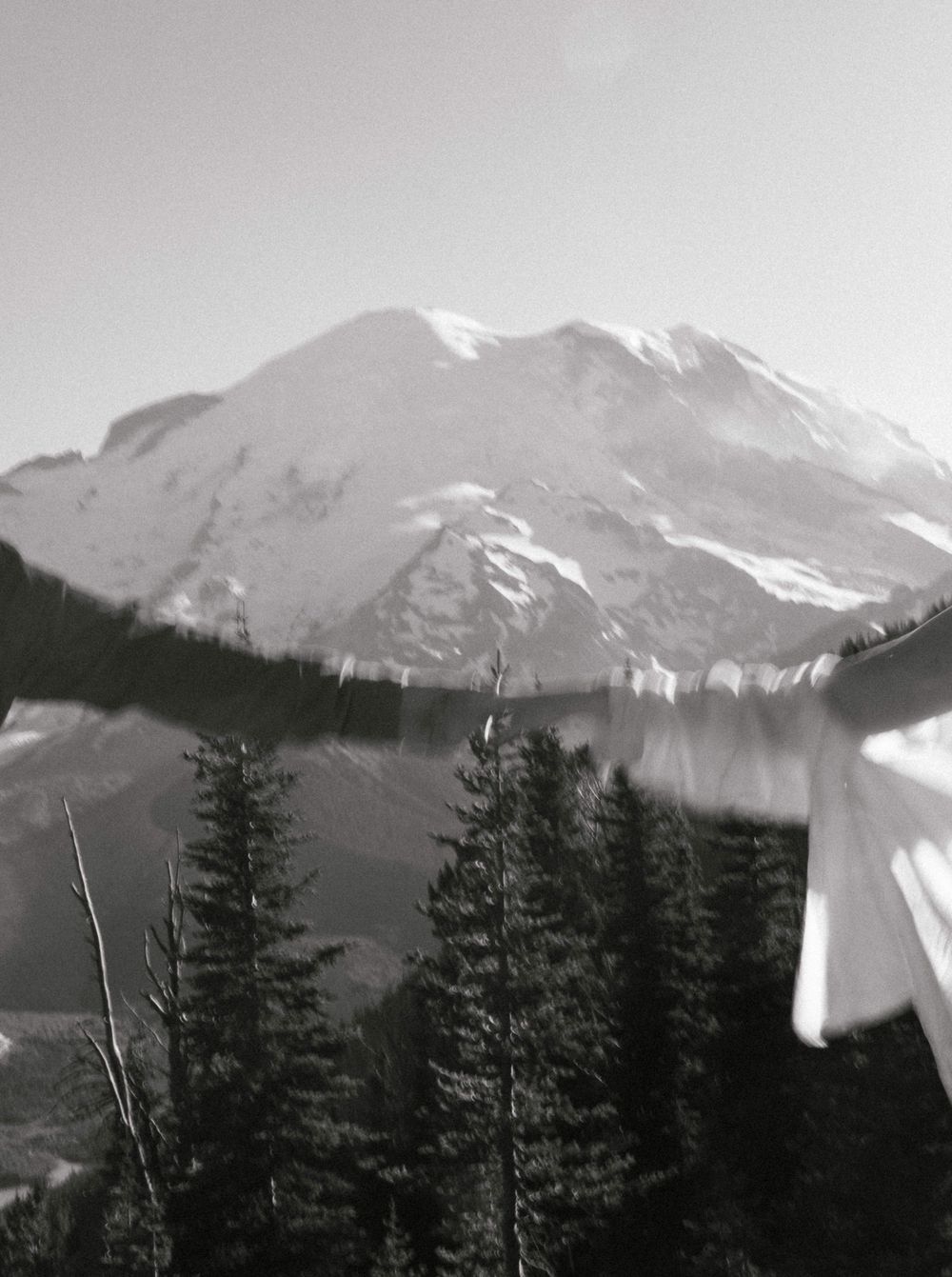 柔和绿色黑白色调冒险旅拍婚礼风景照片调色Lightroom预设 Carley Mae – Jade Pack Presets 插件预设 第18张-素材湾丨精选海外优质设计素材资源 柔和绿色黑白色调冒险旅拍婚礼风景照片调色Lightroom预设 Carley Mae – Jade Pack Presets 插件预设 sucaiwan.com