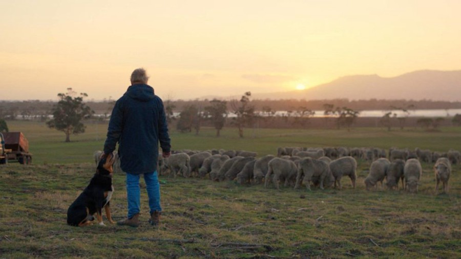 复古电影风格柯达2383胶片仿真模拟达芬奇调色POWERGRADE节点 Juan Melara KODAK 2383 POWERGRADE 插件预设 第2张-素材湾丨精选海外优质设计素材资源 复古电影风格柯达2383胶片仿真模拟达芬奇调色POWERGRADE节点 Juan Melara KODAK 2383 POWERGRADE 插件预设 sucaiwan.com