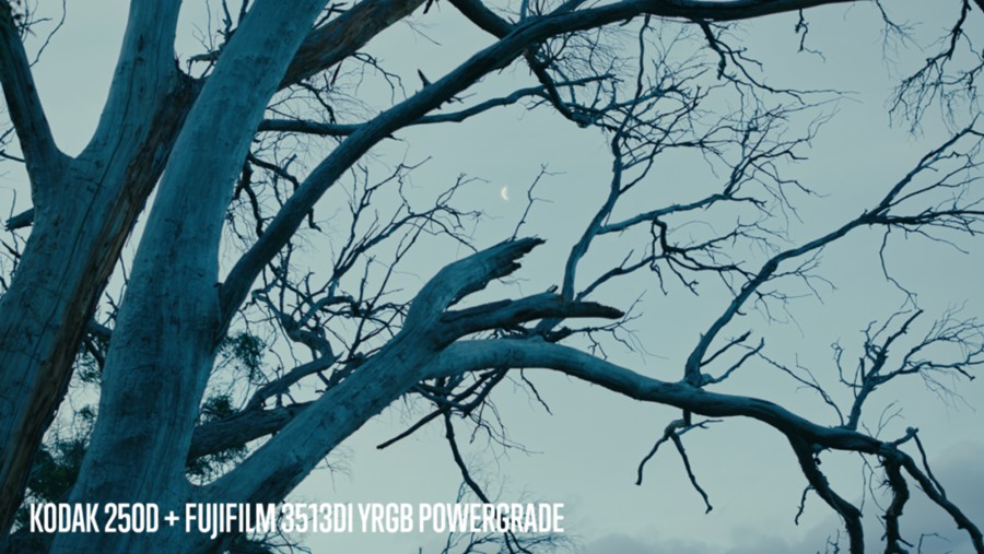 复古电影风格柯达2383胶片仿真模拟达芬奇调色POWERGRADE节点 Juan Melara KODAK 2383 POWERGRADE 插件预设 第7张-素材湾丨精选海外优质设计素材资源 复古电影风格柯达2383胶片仿真模拟达芬奇调色POWERGRADE节点 Juan Melara KODAK 2383 POWERGRADE 插件预设 sucaiwan.com