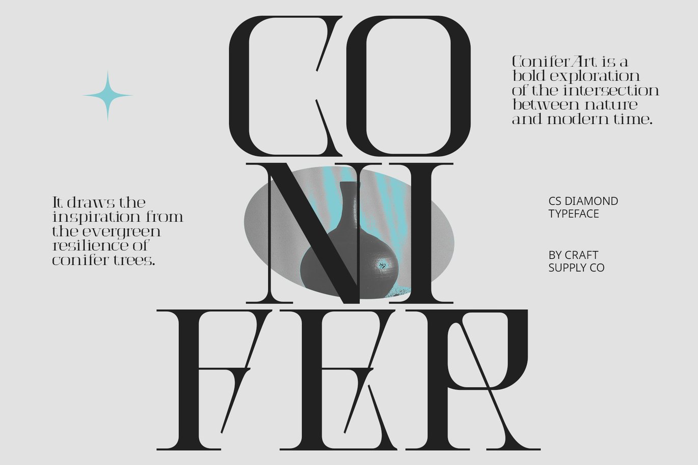 现代优雅品牌海报广告徽标设计衬线英文字体安装包 Diamond – Serif Font 设计素材 sucaiwan.com