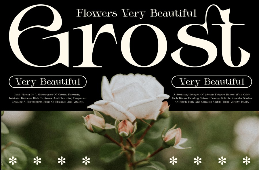 时尚优雅品牌杂志徽标设计衬线英文字体安装包 Elicen – Elegant Serif Font 设计素材 sucaiwan.com