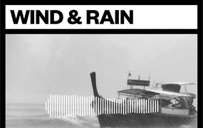 音效：电影氛围雨林雷声冰雹落叶风声雨声环境视频剪辑音效 Big Room Sound Wind and Rain