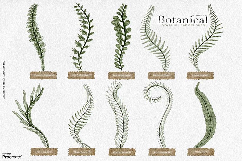 Procreate植物绿植动态笔刷+水彩画布 , sucaiwan.com
