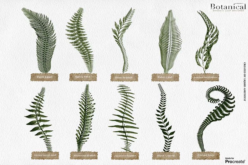 Procreate植物绿植动态笔刷+水彩画布 , sucaiwan.com