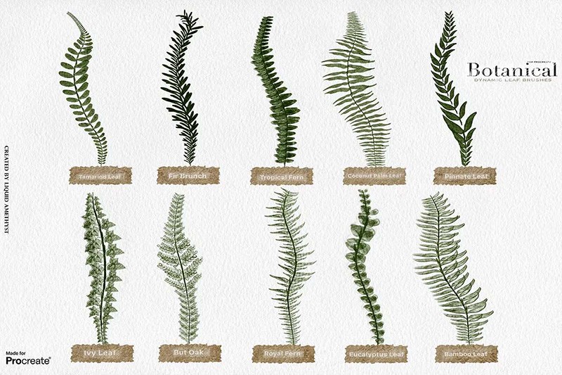 Procreate植物绿植动态笔刷+水彩画布 , sucaiwan.com