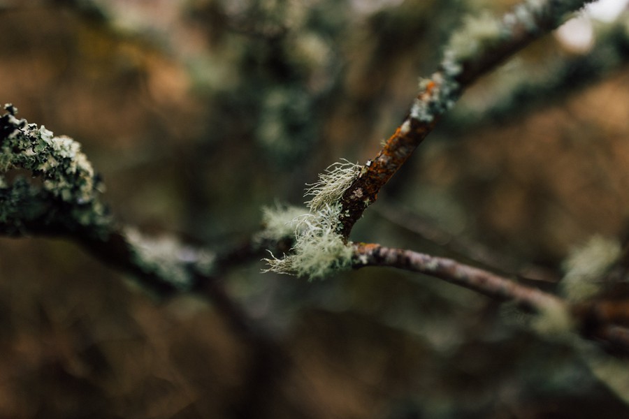 Presets by Frauki Vol II Desktop 复古金色日落海洋电影感彩色黑白LR预设 插件预设 第6张-素材湾丨精选海外优质设计素材资源 Presets by Frauki Vol II Desktop 复古金色日落海洋电影感彩色黑白LR预设 插件预设 sucaiwan.com