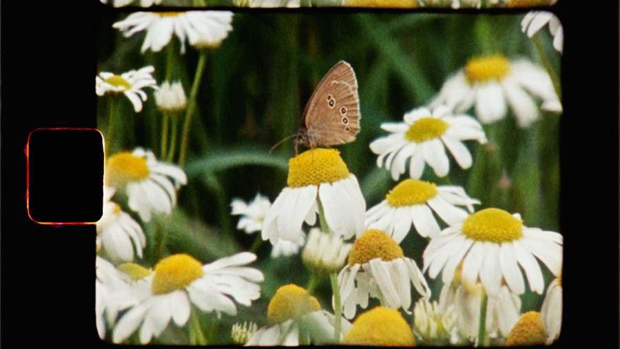 Artlist 20个复古英格兰真实胶片实拍空镜视频素材 Vintage England 影视音频 sucaiwan.com