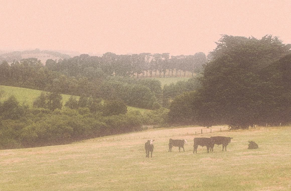 复古颗粒胶片电影艺术朦胧迷幻Y2K图片叠加滤镜PSD特效样机 Soft Photo Effect 插件预设 sucaiwan.com