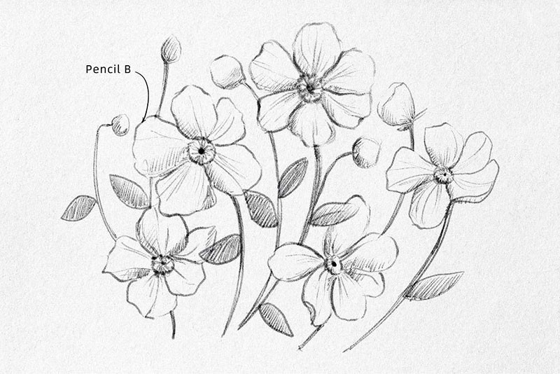 超写实！素描专用铅笔效果PS笔刷 , sucaiwan.com