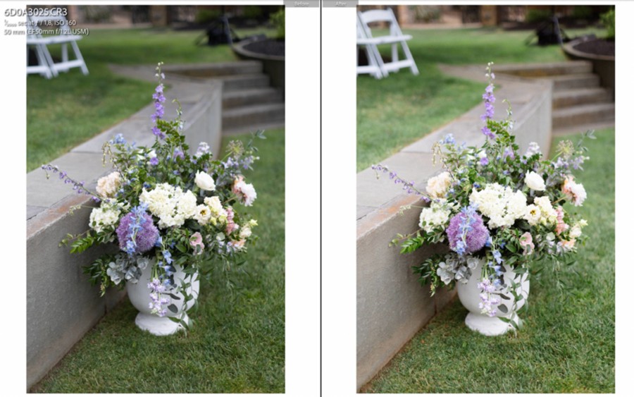 浪漫永恒柯达Portra 400胶片模拟婚礼情侣摄影照片调色Lightroom预设 Martina De Santis – Kodak Portra 400 Emulation Presets & Profiles 插件预设 sucaiwan.com