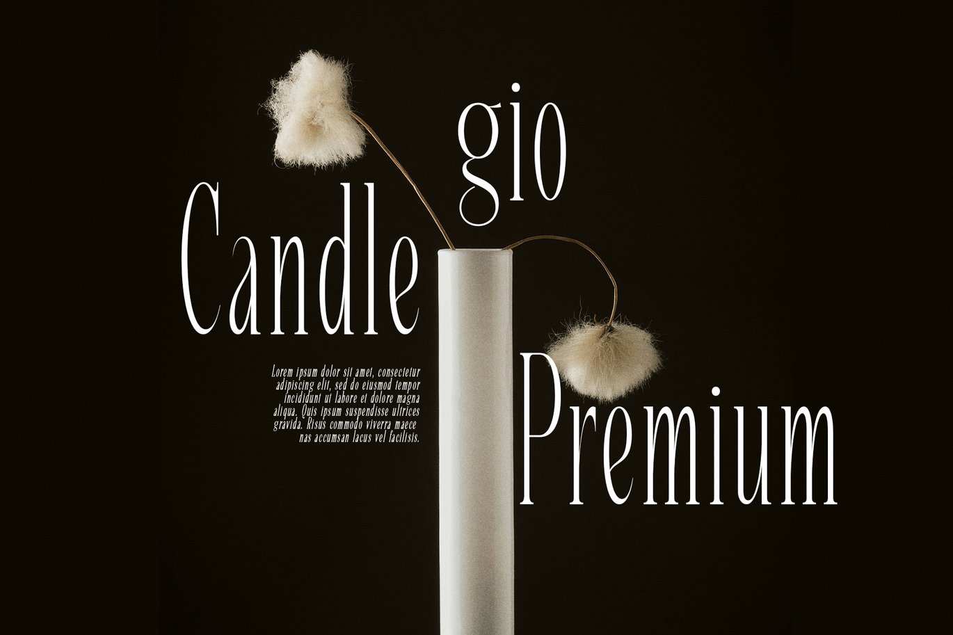 英文字体:复古奢华女性化杂志海报文字排版婚礼徽标LOGO设计衬线英文字体 Malika - Elegant Serif Font , 第2张-素材湾丨精选海外优质设计素材资源 英文字体:复古奢华女性化杂志海报文字排版婚礼徽标LOGO设计衬线英文字体 Malika - Elegant Serif Font , sucaiwan.com